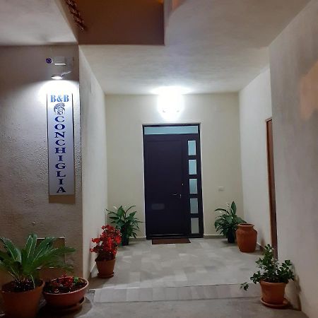 Bed and Breakfast La Conchiglia San Nicola Arcella Esterno foto