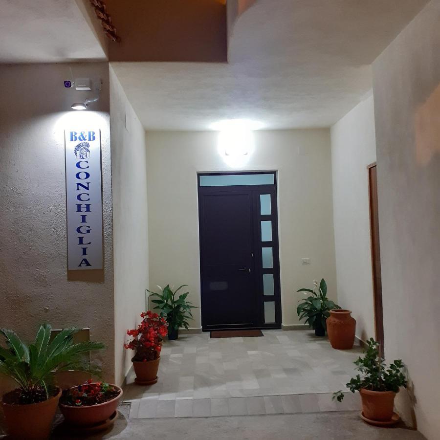 Bed and Breakfast La Conchiglia San Nicola Arcella Esterno foto
