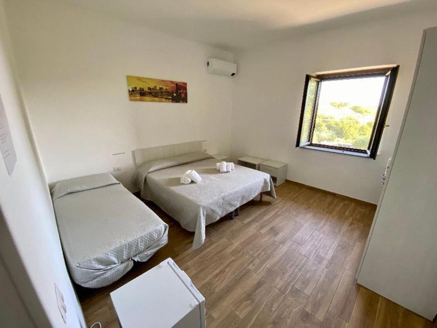 Bed and Breakfast La Conchiglia San Nicola Arcella Esterno foto