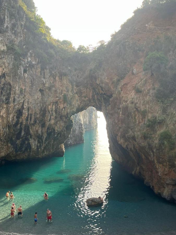 Bed and Breakfast La Conchiglia San Nicola Arcella Esterno foto